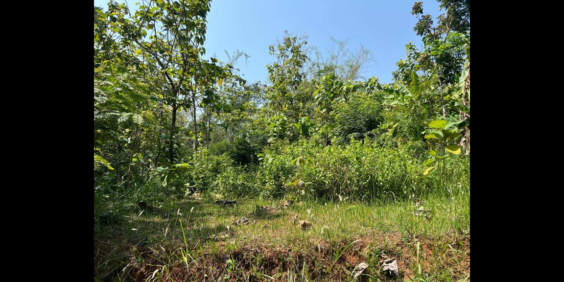 Pekarangan Datar 1376m² Kerjo Karanganyar Pekarangan Datar 1376m² Kerjo Karanganyar