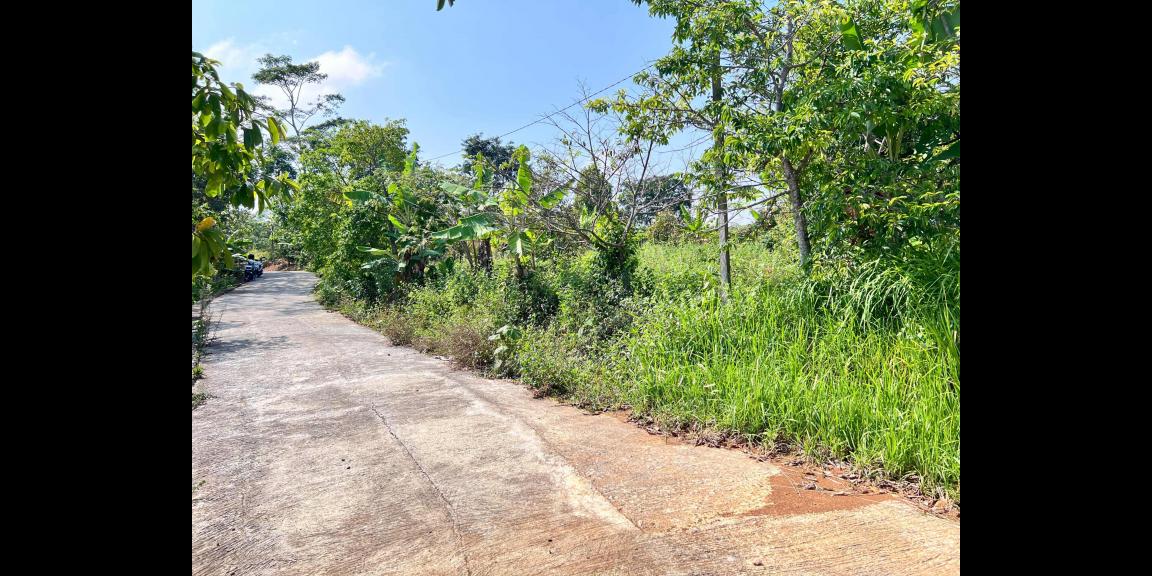 Tanah Kebun Buah 4131m² Kawasan Wisata Ngargoyoso Tanah Kebun Buah 4131m² Kawasan Wisata Ngargoyoso