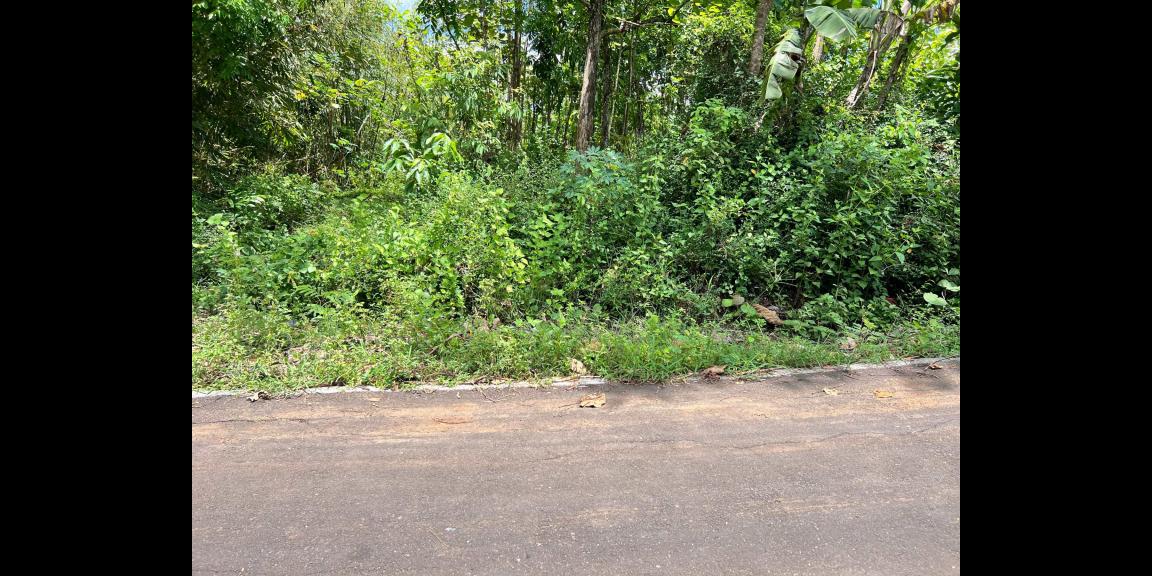 Tanah Murah 2000m² 350 Juta Karanganyar Tanah Murah 2000m² 350 Juta Karanganyar