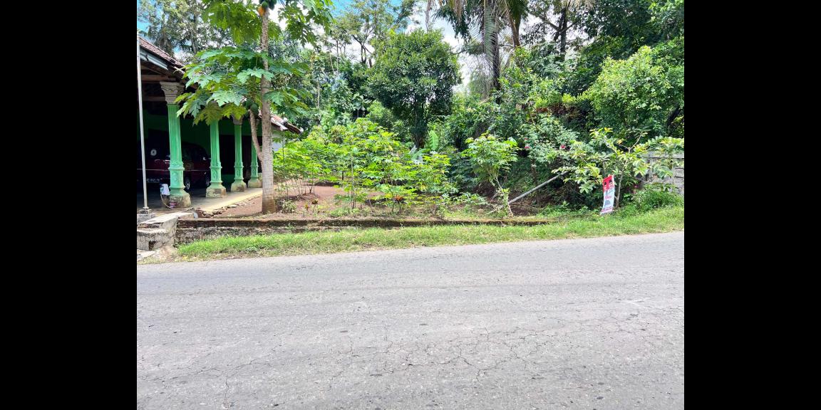 Tanah Strategis 300 Juta Tepi Jl Raya Batujamus- Kemuning Tanah Strategis 300 Juta Tepi Jl Raya Batujamus- Kemuning