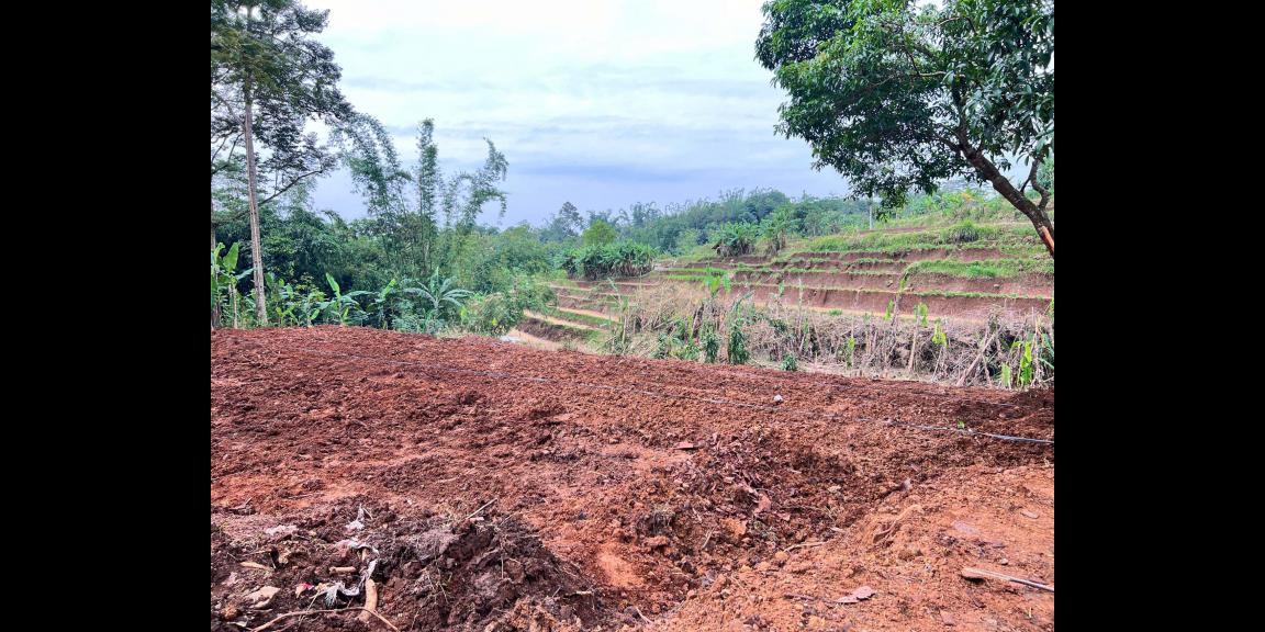 Tanah Murah 2216m² 450 Juta Bonus Bangunan Karanganyar Tanah Murah 2216m² 450 Juta Bonus Bangunan Karanganyar