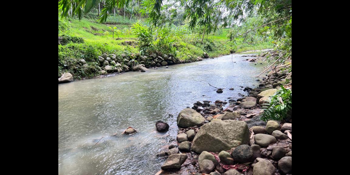 Tanah Murah 3265m² Hanya 225 Juta Karanganyar Tanah Murah 3265m² Hanya 225 Juta Karanganyar