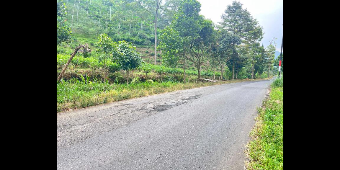 Tanah 1500m² Siap Bangun Café Kawasan Wisata Kemuning Tanah 1500m² Siap Bangun Café Kawasan Wisata Kemuning