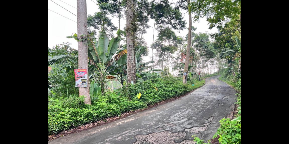 Tanah 250 Juta Strategis Bangun Café Kemuning Tanah 250 Juta Strategis Bangun Café Kemuning