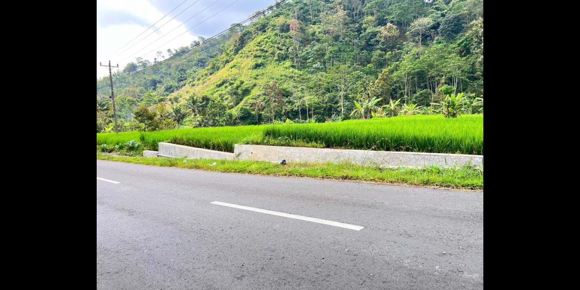 Tanah 469m² Tepi Jl Raya Strategis Bangun Villa Karanganyar Tanah 469m² Tepi Jl Raya Strategis Bangun Villa Karanganyar