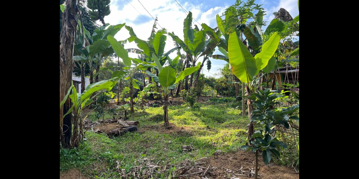 Tanah Strategis 350 Juta Tepi Jl Raya Kemuning-Karangpandan Tanah Strategis 350 Juta Tepi Jl Raya Kemuning-Karangpandan