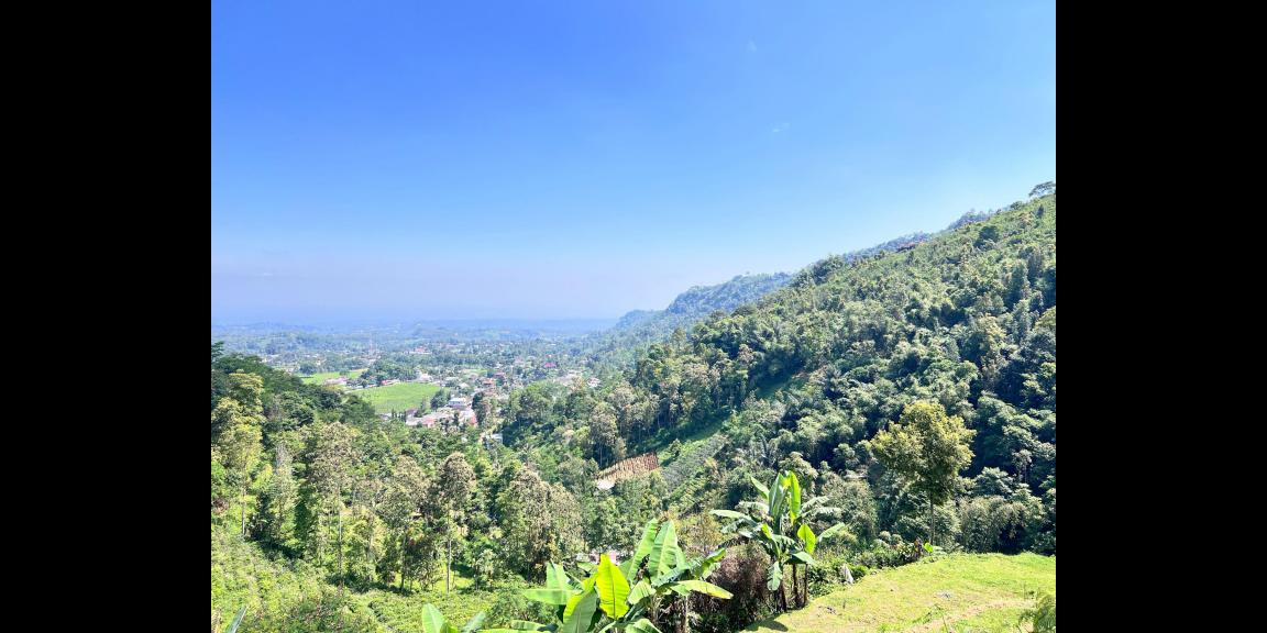 Tanah 5971m² Cocok Untuk Wisata View Kebun Teh Kemuning Tanah 5971m² Cocok Untuk Wisata View Kebun Teh Kemuning