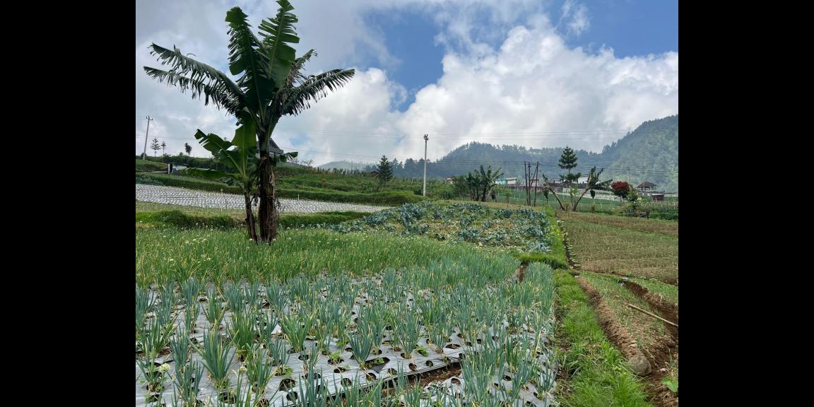 Tanah 822m² Strategis Untuk Café Tepi Jl Raya Tawangmangu Tanah 822m² Strategis Untuk Café Tepi Jl Raya Tawangmangu