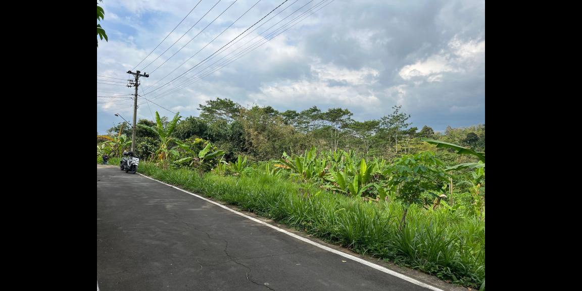 Tanah 2242m² Dekat Ponpes MTA Mojogedang Tanah 2242m² Dekat Ponpes MTA Mojogedang