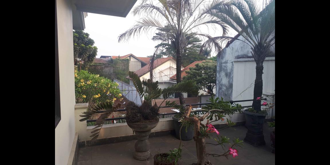 Rumah Mewah Bebas Banjir Pk Marmer & Kayu Jati di Bintaro Jaya Rumah Mewah Bebas Banjir Pk Marmer & Kayu Jati di Bintaro Jaya