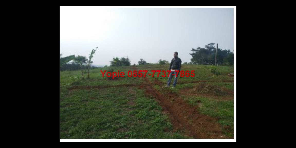 Di jual kavling murah di bogor timur view pegunungan Di jual kavling murah di bogor timur view pegunungan