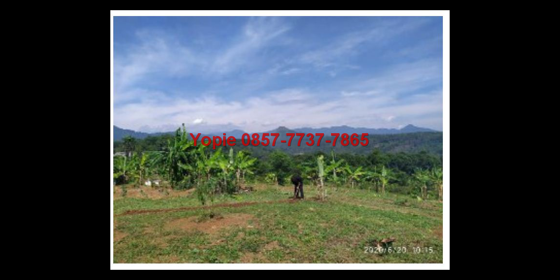 Di jual kavling murah di bogor timur view pegunungan Di jual kavling murah di bogor timur view pegunungan