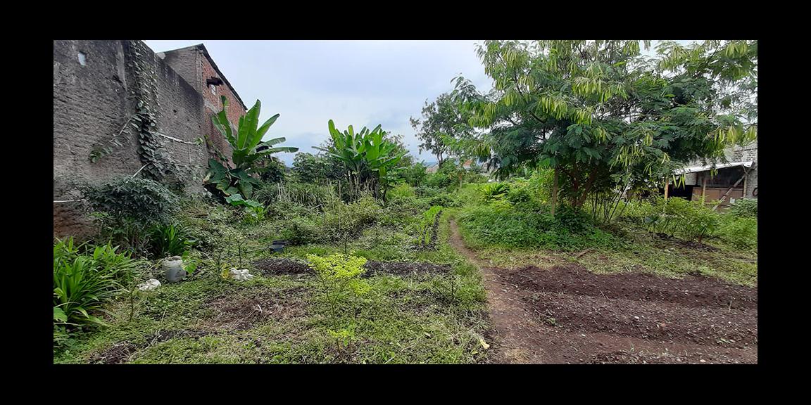 TANAH MATANG CINGISED ARCAMANIK BANDUNG TANAH MATANG CINGISED ARCAMANIK BANDUNG