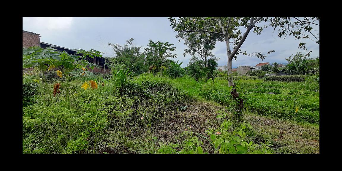 TANAH MATANG CINGISED ARCAMANIK BANDUNG TANAH MATANG CINGISED ARCAMANIK BANDUNG