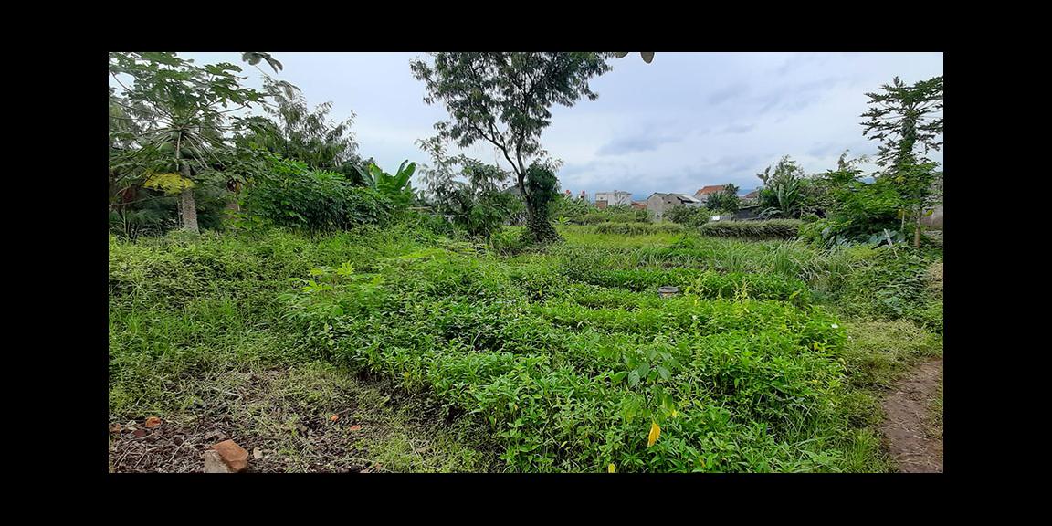 TANAH MATANG CINGISED ARCAMANIK BANDUNG TANAH MATANG CINGISED ARCAMANIK BANDUNG