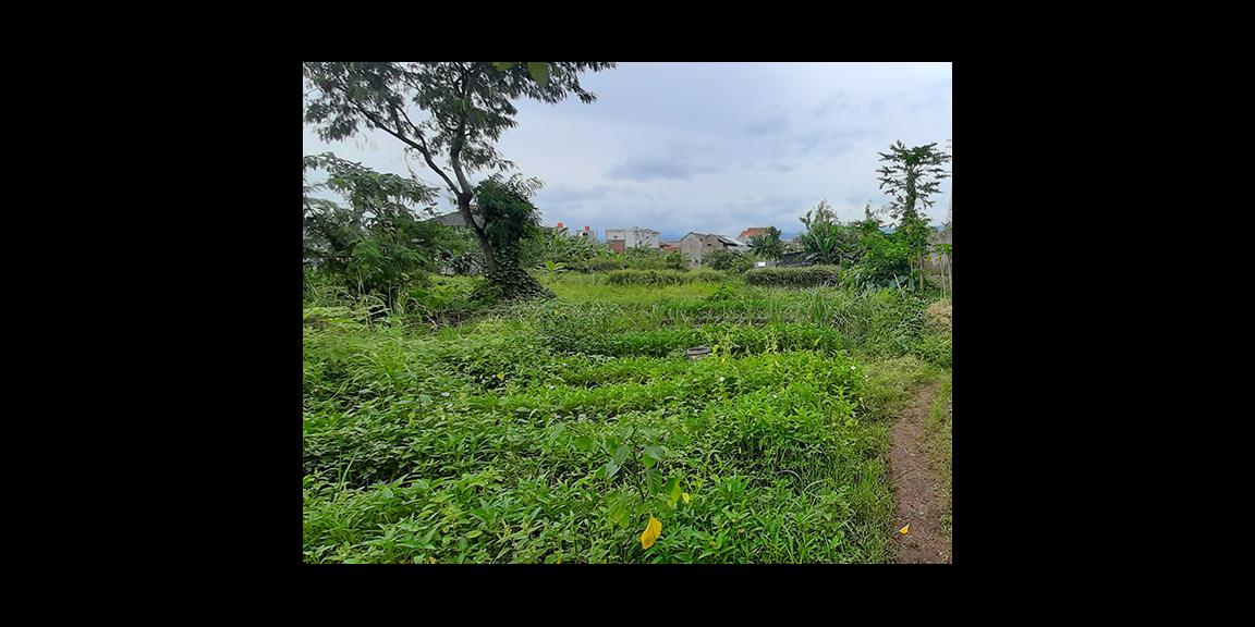 TANAH MATANG CINGISED ARCAMANIK BANDUNG TANAH MATANG CINGISED ARCAMANIK BANDUNG