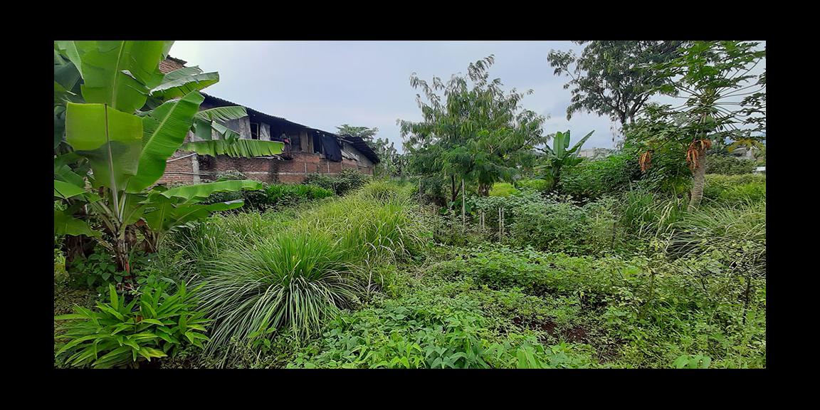 TANAH MATANG CINGISED ARCAMANIK BANDUNG TANAH MATANG CINGISED ARCAMANIK BANDUNG