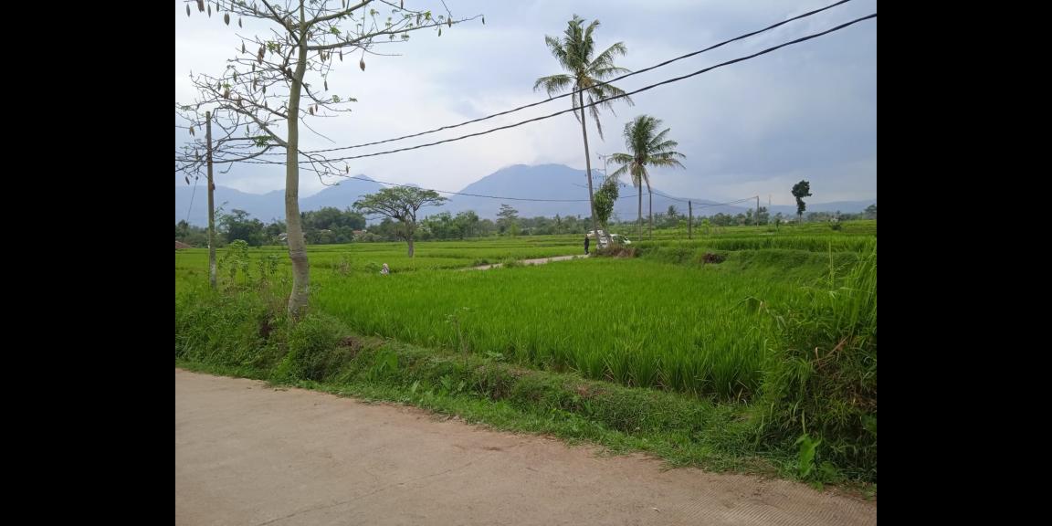 Tanah Kavling Bandung Selatan Harga 850 ribu'an/meter Tanah Kavling Bandung Selatan Harga 850 ribu'an/meter