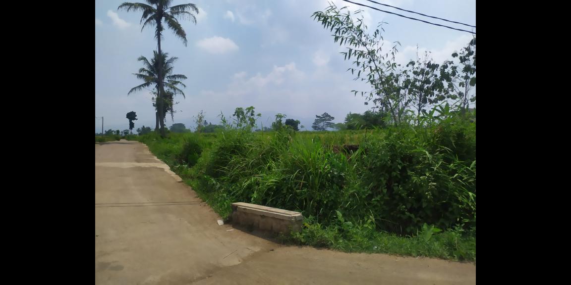 Tanah Kavling Bandung Selatan Harga 850 ribu'an/meter Tanah Kavling Bandung Selatan Harga 850 ribu'an/meter