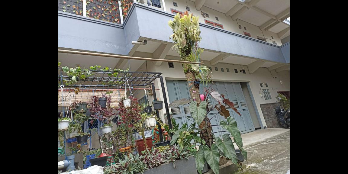 Kost Kosan Murah UNJANI STIKES Leuwigajah Cimahi Selatan Baros Kerkof Nanjung Cibeber Kost Kosan Murah UNJANI STIKES Leuwigajah Cimahi Selatan Baros Kerkof Nanjung Cibeber