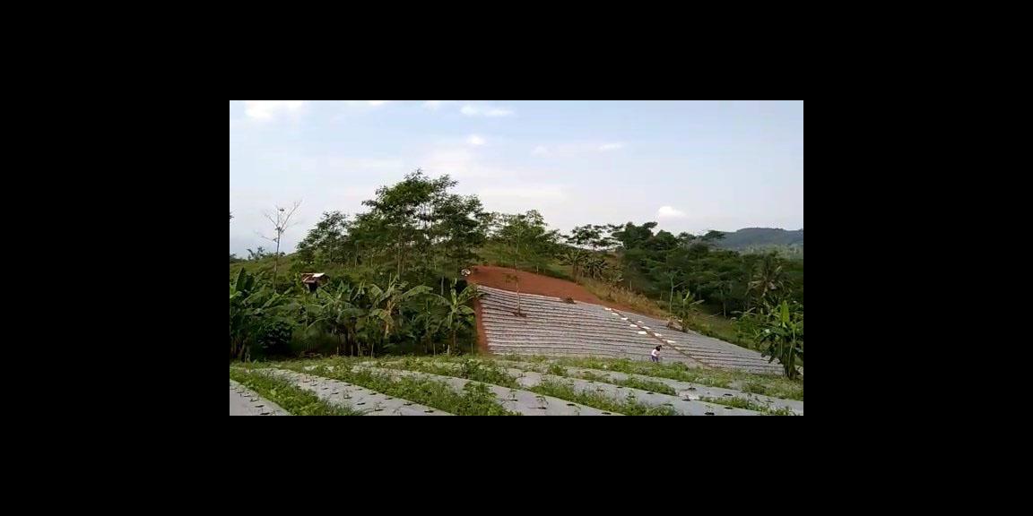 TANAH SUBUR DI CIANUUR TANAH SUBUR DI CIANUUR