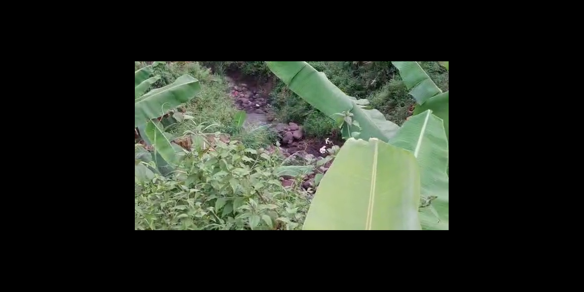 JUAL TANAH PEMAKAMAN TIONGHOA area Jombang Jatim JUAL TANAH PEMAKAMAN TIONGHOA area Jombang Jatim