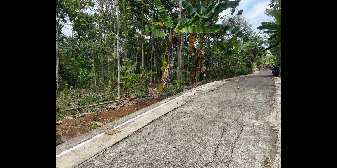 Pekarangan Datar 959m² Utara Pasar Mojogedang Pekarangan Datar 959m² Utara Pasar Mojogedang