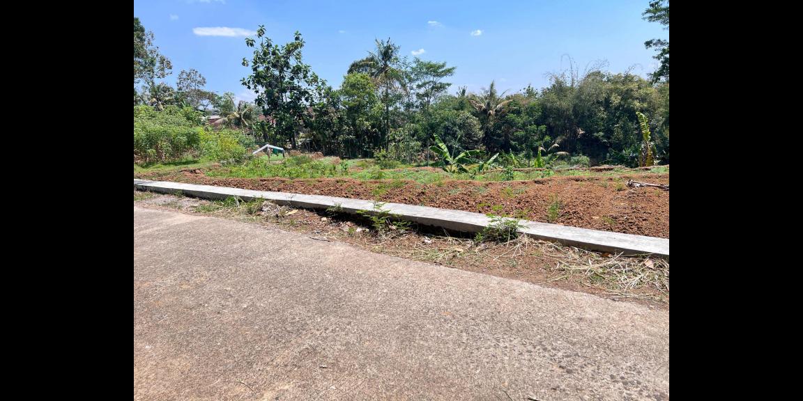 Tanah Murah 250 Juta Karangpandan   Tanah Murah 250 Juta Karangpandan