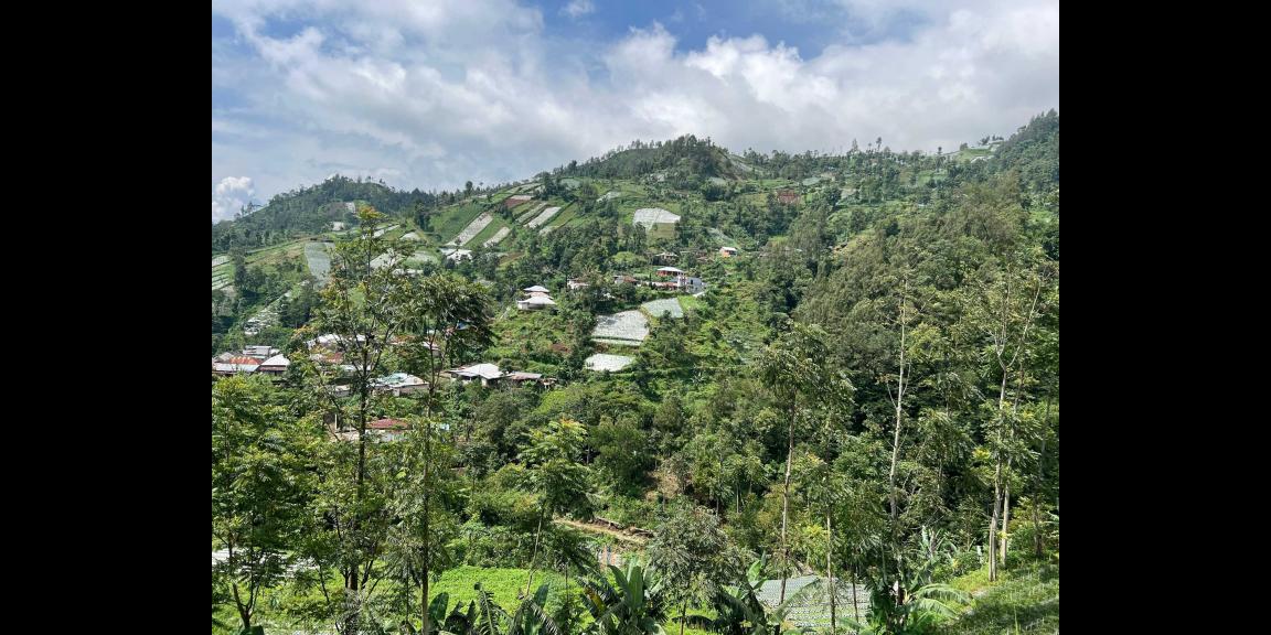 Tanah 200 Juta Timur Jembatan Kaca Kemuning Tanah 200 Juta Timur Jembatan Kaca Kemuning