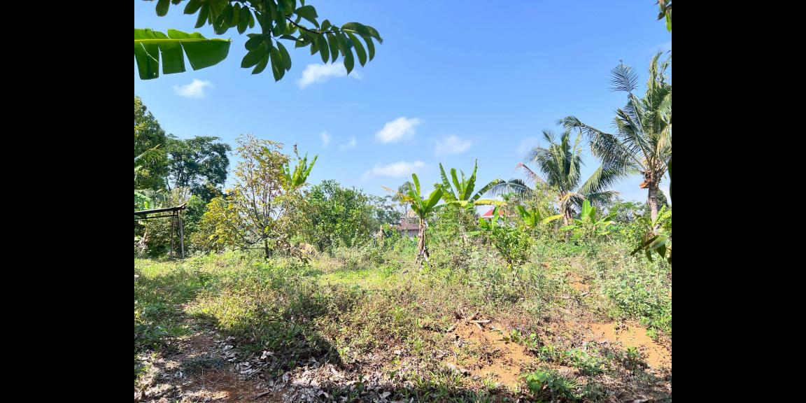 Tanah Kebun Buah 4131m² Kawasan Wisata Ngargoyoso Tanah Kebun Buah 4131m² Kawasan Wisata Ngargoyoso