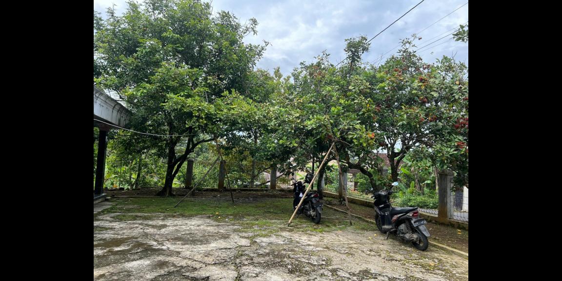 Dijual Rumah 450 Juta Limasan Modern Karanganyar Dijual Rumah 450 Juta Limasan Modern Karanganyar