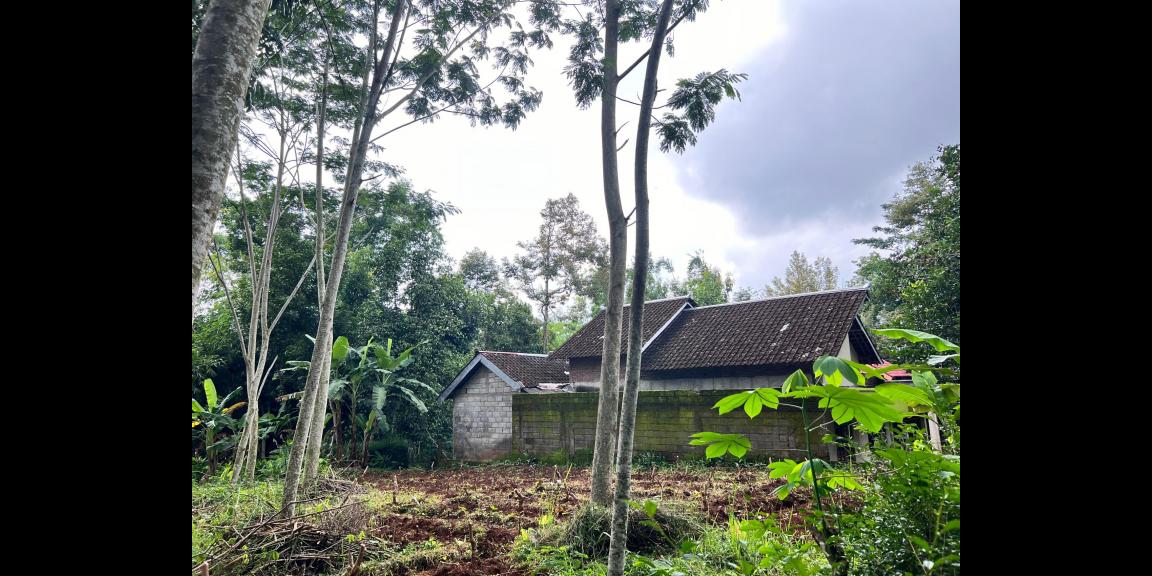 Tanah Strategis 1270m² Dekat Pasar Mojogedang Karanganyar Tanah Strategis 1270m² Dekat Pasar Mojogedang Karanganyar