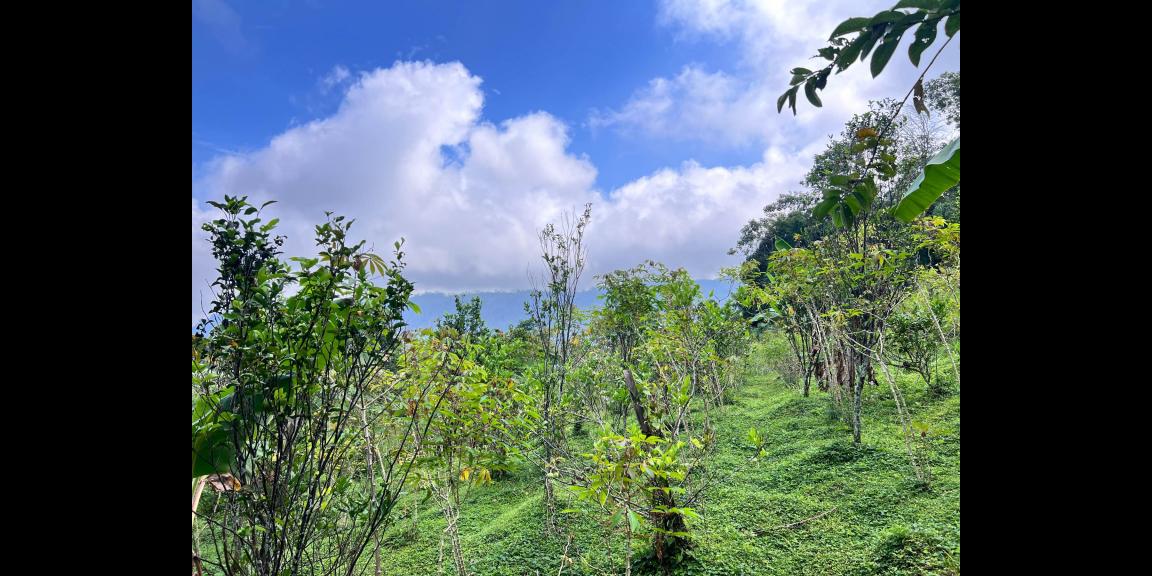 Tanah 4600m² View Cantik Kota Wisata Kemuning Tanah 4600m² View Cantik Kota Wisata Kemuning