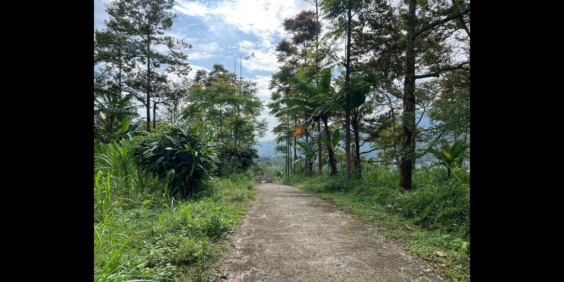 Tanah Idaman 7700m² Cocok Untuk Villa Karanganyar Tanah Idaman 7700m² Cocok Untuk Villa Karanganyar