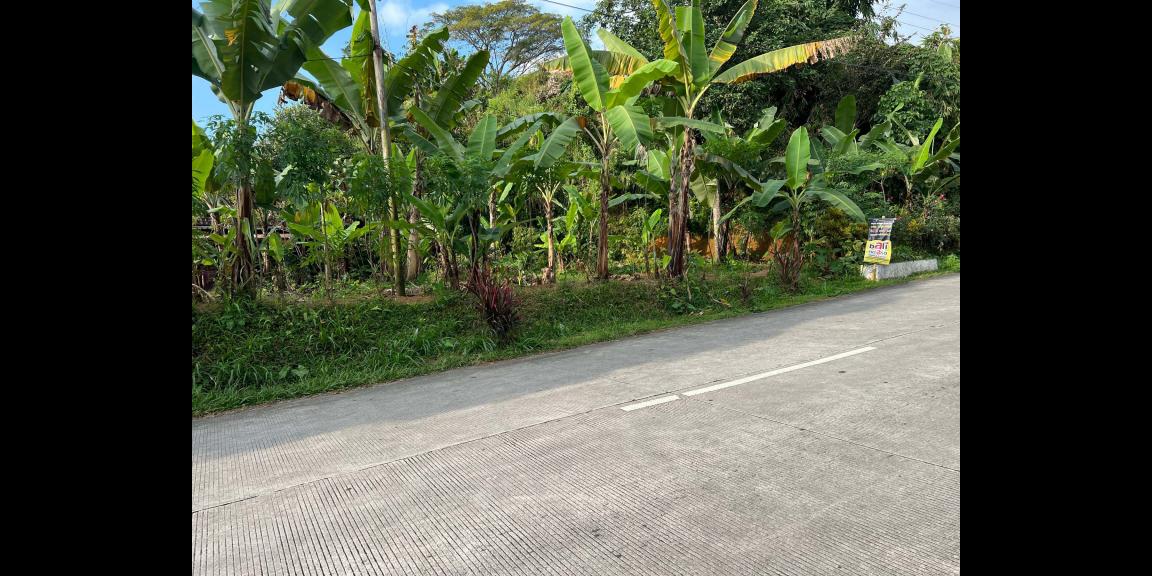 Tanah Strategis 350 Juta Tepi Jl Raya Kemuning-Karangpandan Tanah Strategis 350 Juta Tepi Jl Raya Kemuning-Karangpandan