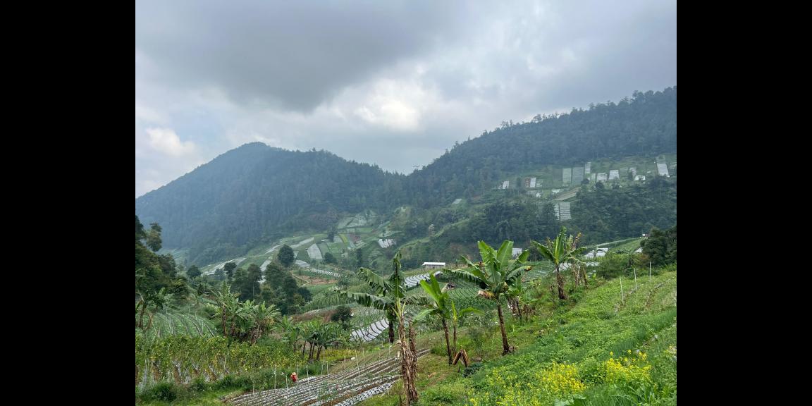 Tanah 822m² Strategis Untuk Café Tepi Jl Raya Tawangmangu Tanah 822m² Strategis Untuk Café Tepi Jl Raya Tawangmangu