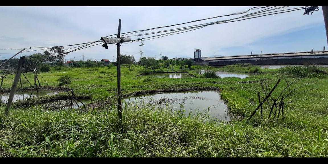 TANAH DI DAYEUH KOLOT BANDUNG TANAH DI DAYEUH KOLOT BANDUNG