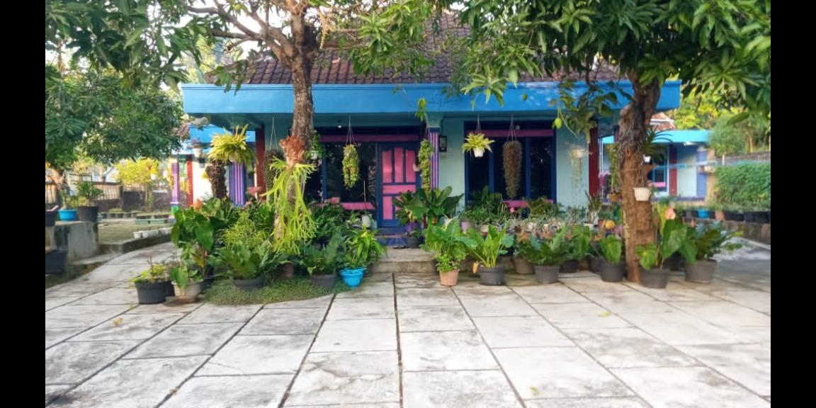 dijual tanah bonus rumah daerah wisata gunungkidul dijual tanah bonus rumah daerah wisata gunungkidul