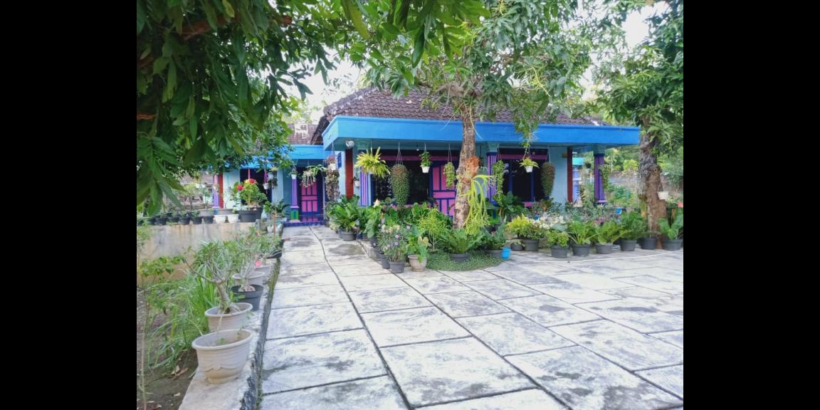 dijual tanah bonus rumah daerah wisata gunungkidul dijual tanah bonus rumah daerah wisata gunungkidul