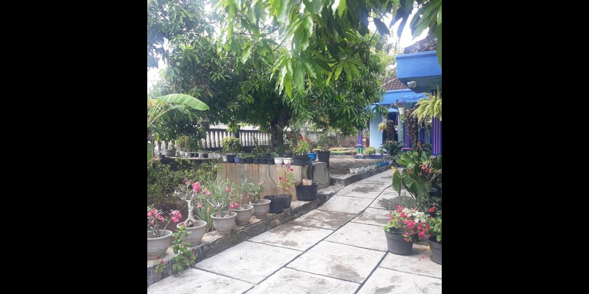 dijual tanah bonus rumah daerah wisata gunungkidul dijual tanah bonus rumah daerah wisata gunungkidul