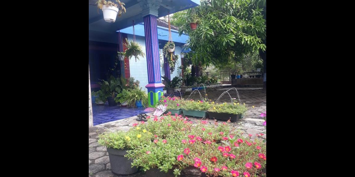 dijual tanah bonus rumah daerah wisata gunungkidul dijual tanah bonus rumah daerah wisata gunungkidul