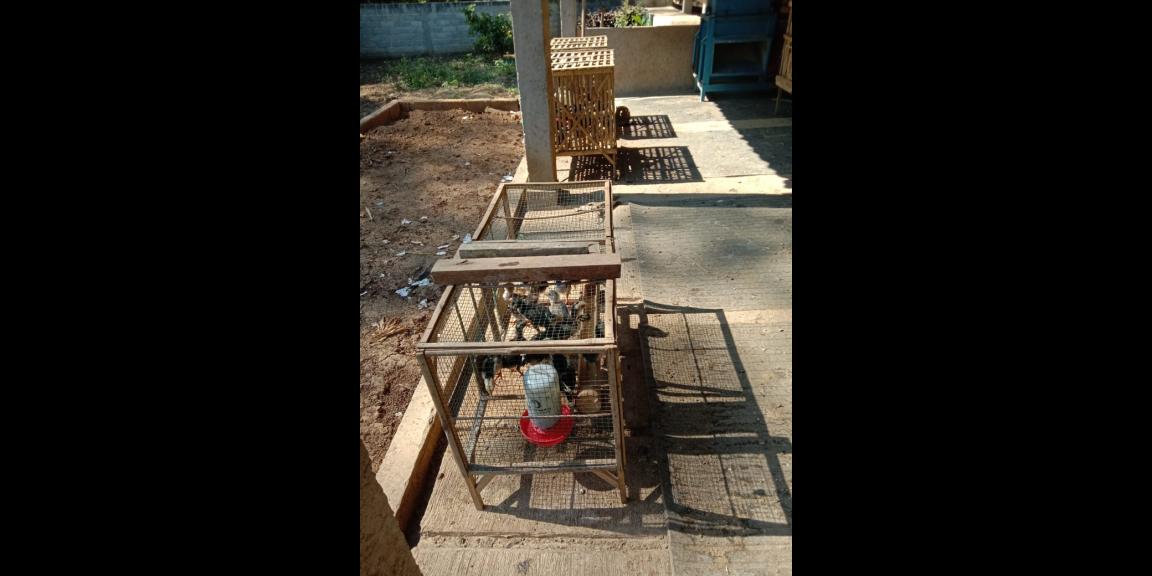 Lahan peternakan lengkap dgn kandang sapi, kambing, ayam, kolam, kebun Lahan peternakan lengkap dgn kandang sapi, kambing, ayam, kolam, kebun