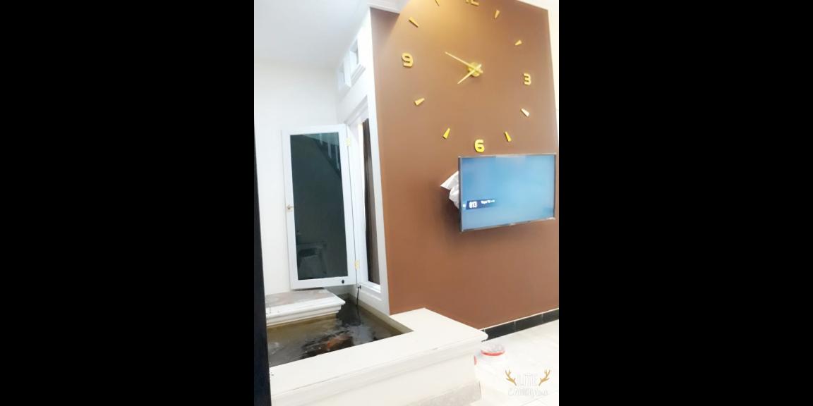 Dijual Rumah Baru Dekat Terminal Giwangan dan Universitas Ahmad Dahlan Yogyakarta Dijual Rumah Baru Dekat Terminal Giwangan dan Universitas Ahmad Dahlan Yogyakarta