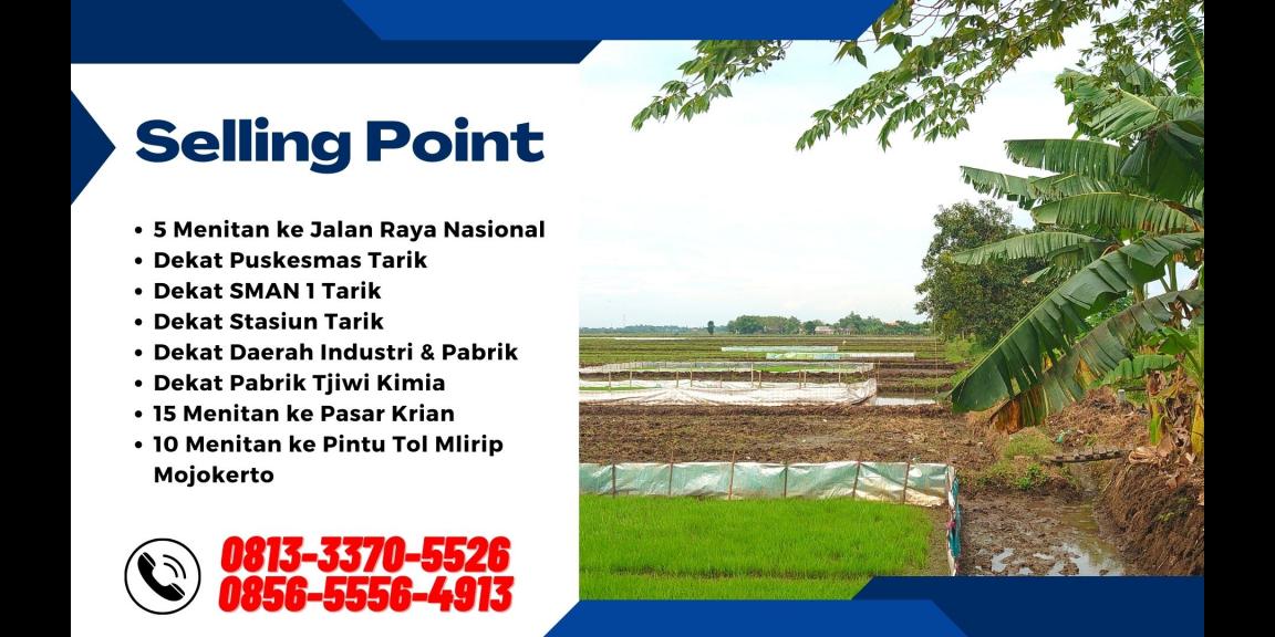 Tanah Dijual di Tarik Sidoarjo Lokasi Strategis Tanah Dijual di Tarik Sidoarjo Lokasi Strategis