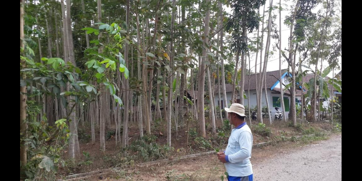 Dijual Tanah siap bangun di Desa Suko Karangsono Kab. Blitar (1.904 m2) Dijual Tanah siap bangun di Desa Suko Karangsono Kab. Blitar (1.904 m2)