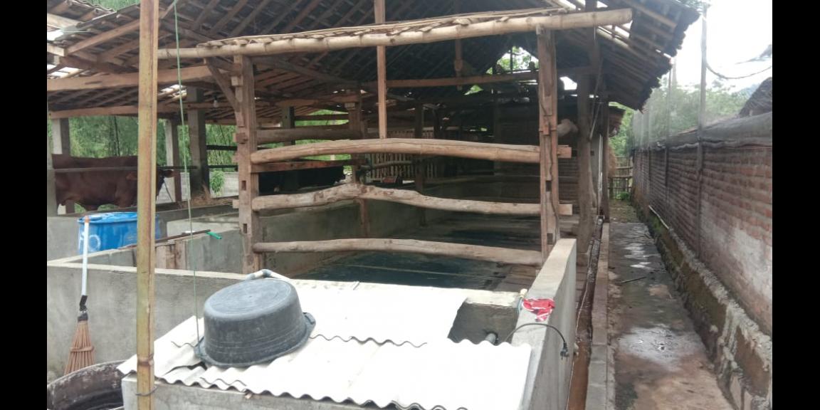 Lahan peternakan lengkap dgn kandang sapi, kambing, ayam, kolam, kebun Lahan peternakan lengkap dgn kandang sapi, kambing, ayam, kolam, kebun