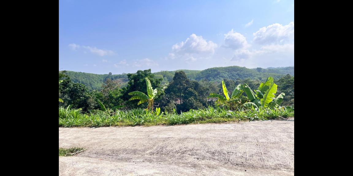 Tanah Kebun Buah 4131m² Kawasan Wisata Ngargoyoso Tanah Kebun Buah 4131m² Kawasan Wisata Ngargoyoso