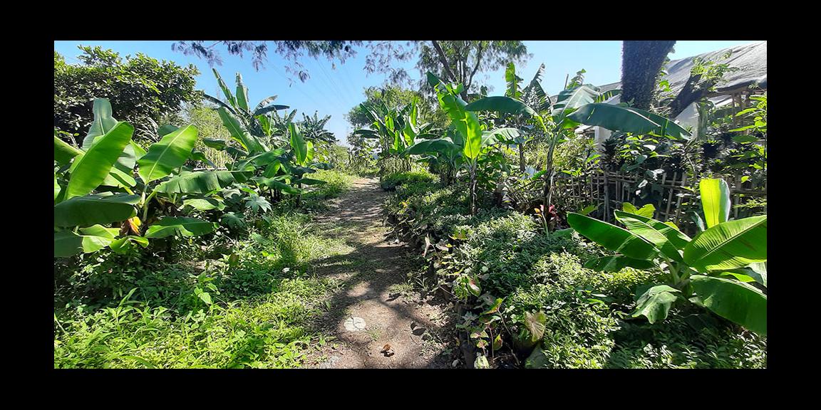 TANAH DARAT ARCAMANIK BANDUNG TANAH DARAT ARCAMANIK BANDUNG