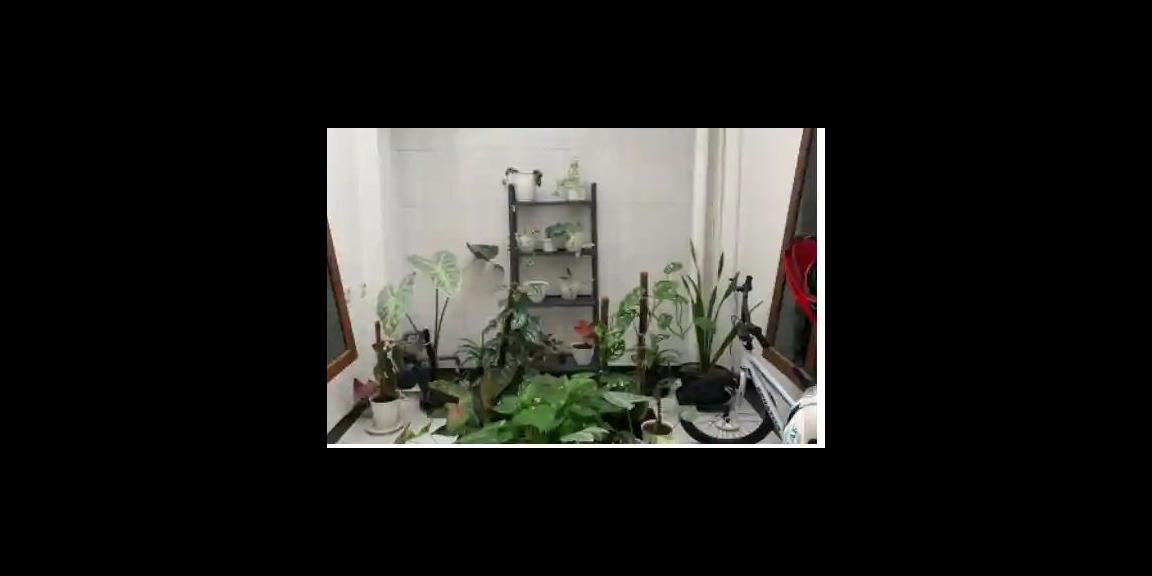 DIJUAL RUMAH ASRI DAN NYAMAN DILOKASI STRATEGIS BOGOR KOTA DIJUAL RUMAH ASRI DAN NYAMAN DILOKASI STRATEGIS BOGOR KOTA