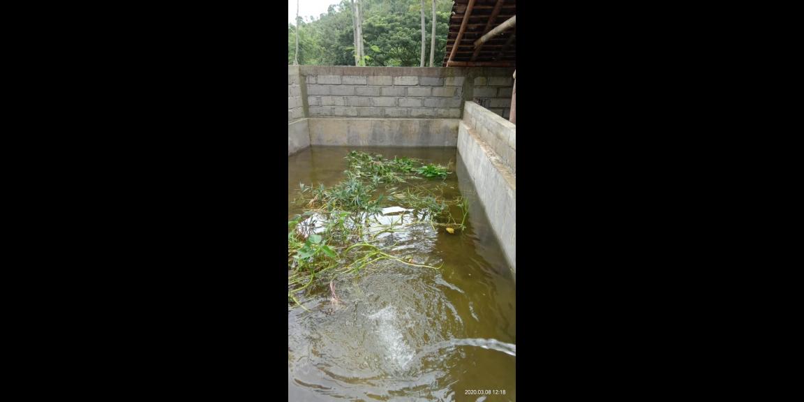 Lahan peternakan lengkap dgn kandang sapi, kambing, ayam, kolam, kebun Lahan peternakan lengkap dgn kandang sapi, kambing, ayam, kolam, kebun